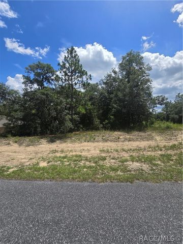 2485 W Braganza Street, Dunnellon, FL 34433