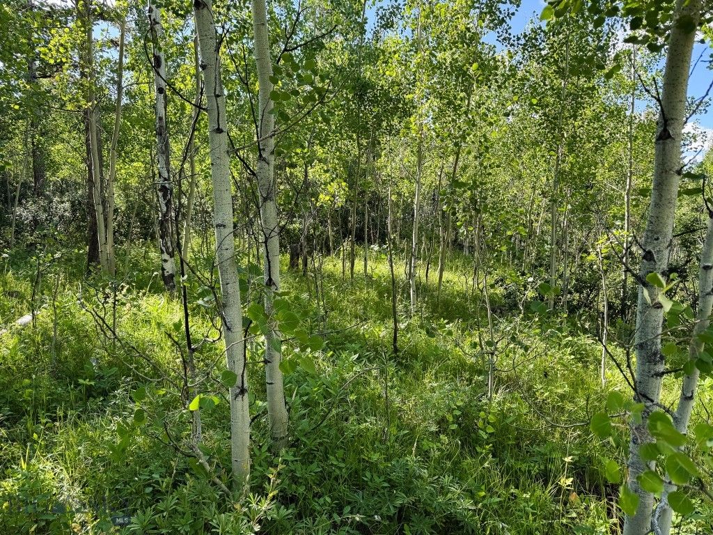 4 Pine Hill Drive, White Sulphur Springs, MT 59645 photo 54