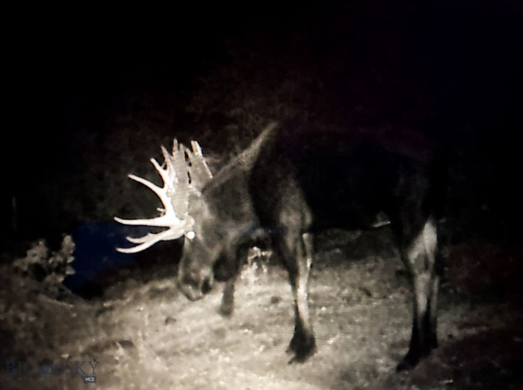 4 Pine Hill Drive, White Sulphur Springs, MT 59645 photo 55