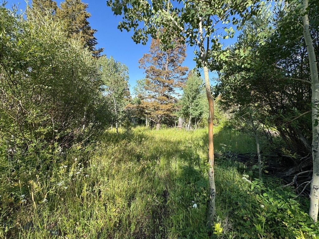 4 Pine Hill Drive, White Sulphur Springs, MT 59645 photo 57