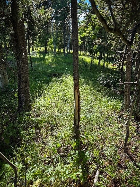 4 Pine Hill Drive, White Sulphur Springs, MT 59645 photo 58