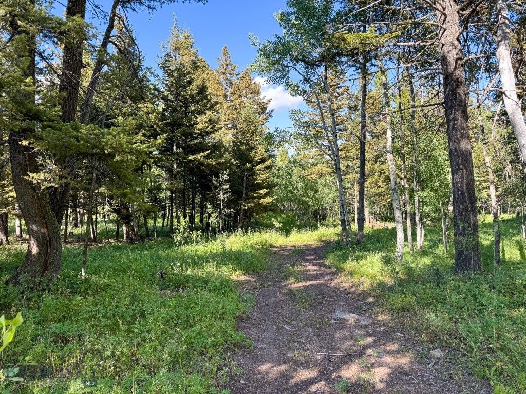 4 Pine Hill Drive, White Sulphur Springs, MT 59645 photo 89