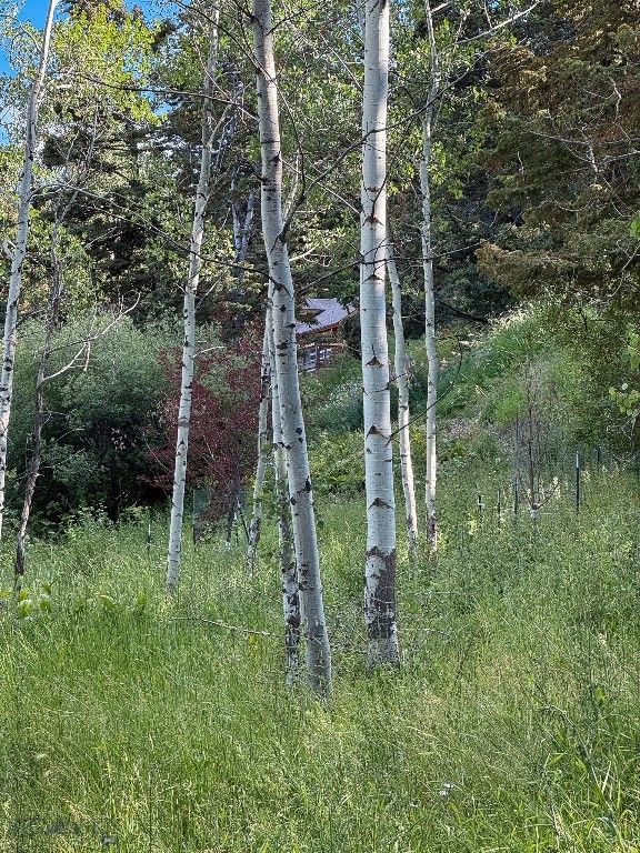 4 Pine Hill Drive, White Sulphur Springs, MT 59645 photo 97