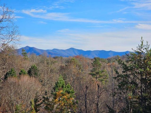 2567 Todd Shook Road, Young Harris, GA 30582