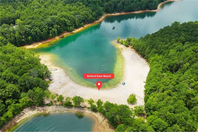 951 Island Pointe Way, Buford, GA 30518