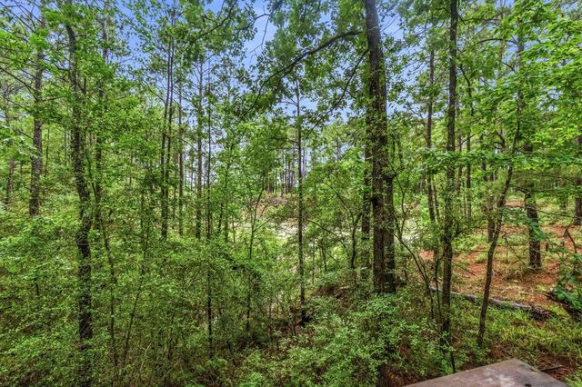 465 Creek Drive, Onalaska, TX 77360