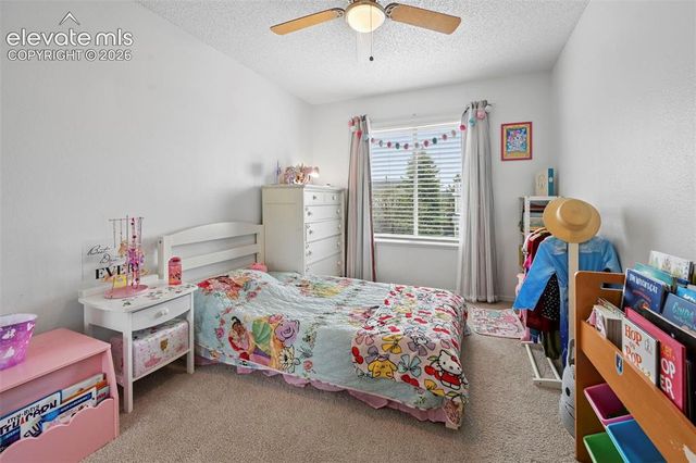 7834 Potomac Drive, Colorado Springs, CO 80920