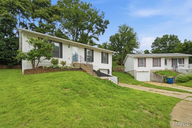 10607 Saint Michaels Terrace Court, St Ann, MO 63074