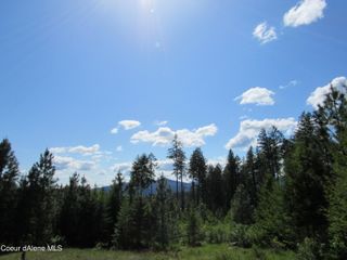7063 S BUCKRAIL RD, Harrison, ID 83833
