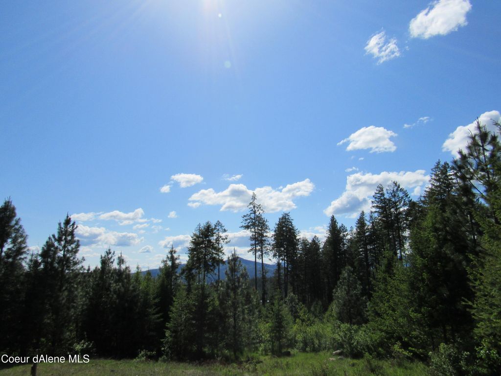 7063 S BUCKRAIL RD, Harrison, ID 83833