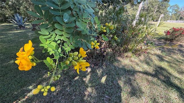 436 NE 61ST TERRACE, Ocala, FL 34470