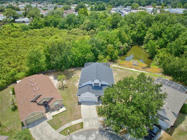 24133 DENALI COURT, Lutz, FL 33559