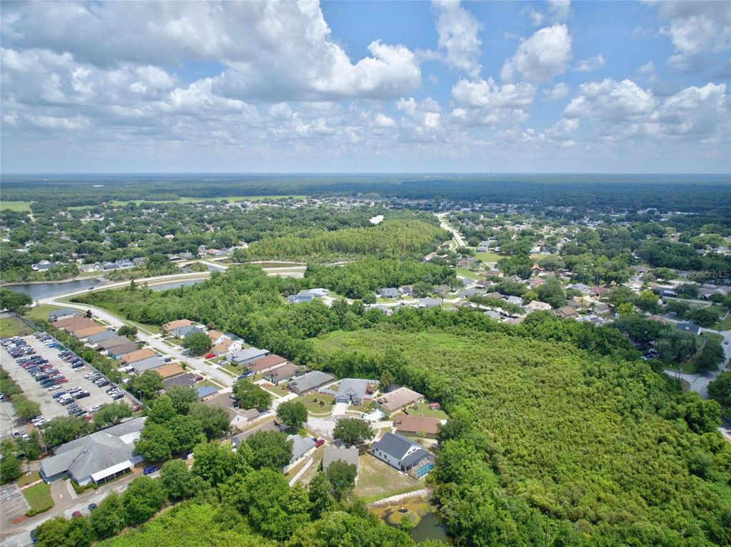 Image 63 of property listing at 24133 DENALI COURT, Lutz, FL 33559