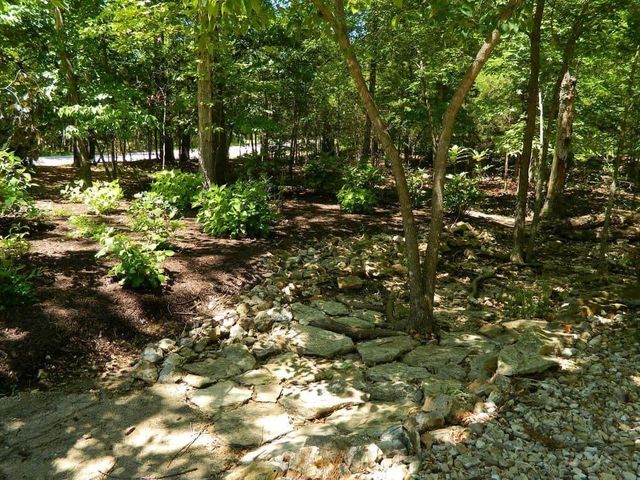 60 Montego Drive, Kimberling City, MO 65686
