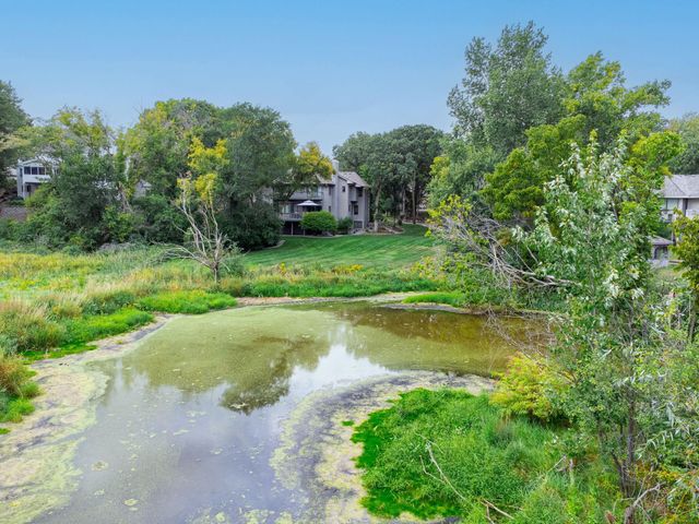 11808 Tapestry Lane, Hopkins, MN 55305