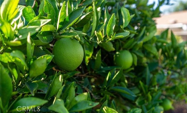 26435 Bluebell, Menifee, CA 92586