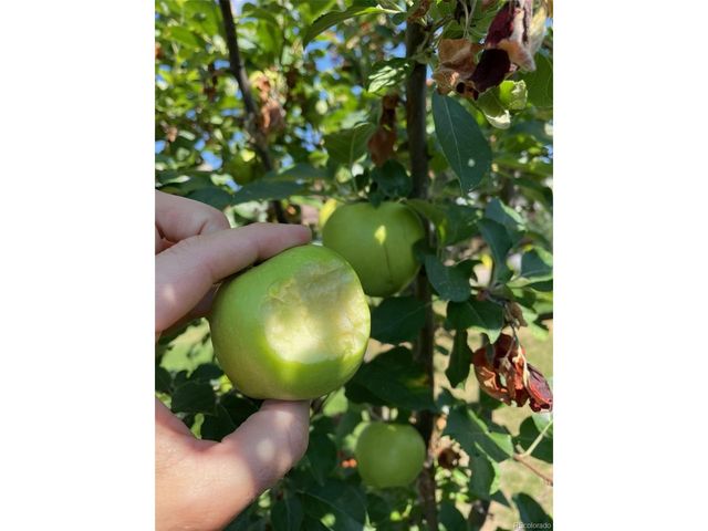 7050 S Newland Ct, Littleton, CO 80128