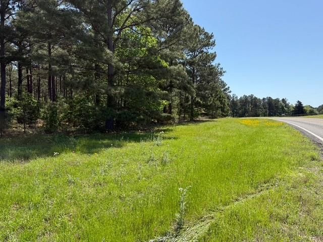 TBD Fm 228, Grapeland, TX 75844