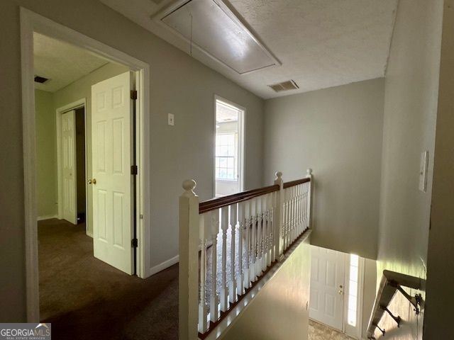 1904 Elm Park Drive, Hampton, GA 30228