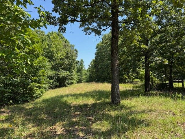 8062 Frame Hollow Rd, Nunnelly, TN 37137