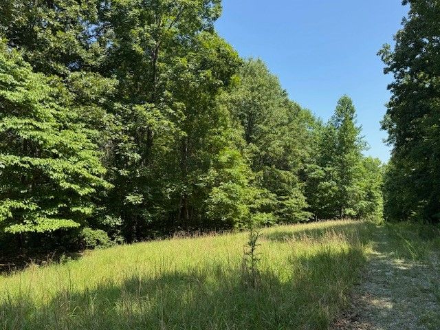 8062 Frame Hollow Rd, Nunnelly, TN 37137