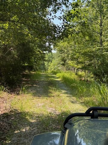 8062 Frame Hollow Rd, Nunnelly, TN 37137