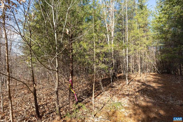 3.94 AC PEACE AND QUIET CIR, Reva, VA 22735