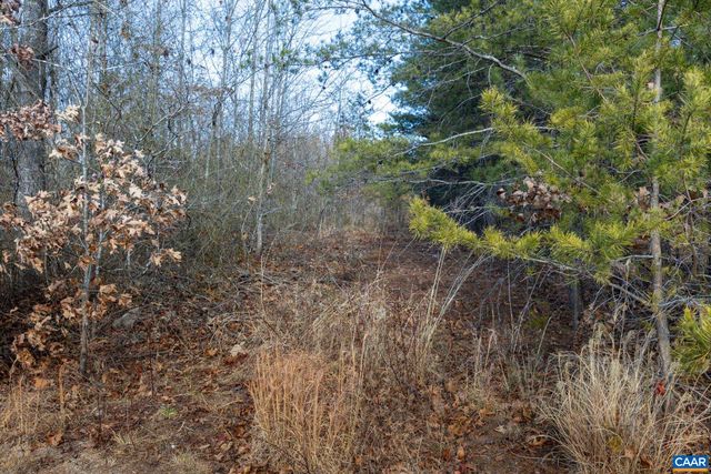 3.94 AC PEACE AND QUIET CIR, Reva, VA 22735