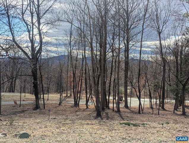 2005 UPPER STONY RUN, Greenwood, VA 22943