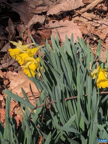 2005 UPPER STONY RUN, Greenwood, VA 22943