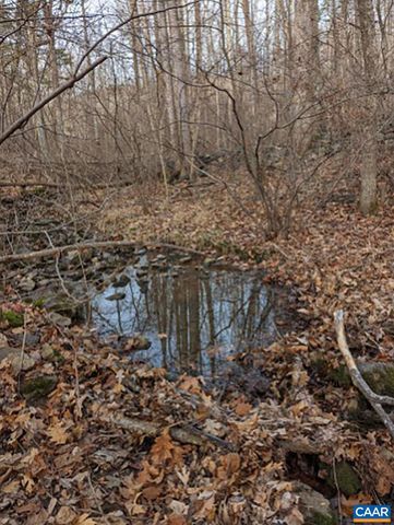 2005 UPPER STONY RUN, Greenwood, VA 22943