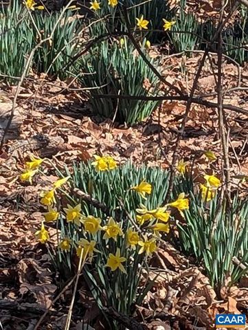 2005 UPPER STONY RUN, Greenwood, VA 22943