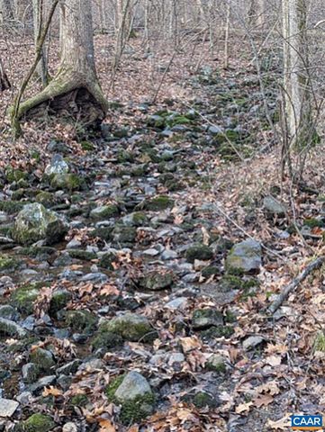 2005 UPPER STONY RUN, Greenwood, VA 22943