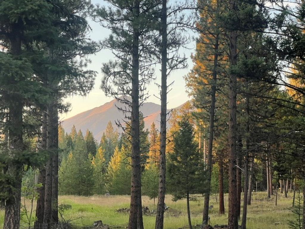 1787 Grandview Drive, Seeley Lake, MT 59868 photo 2