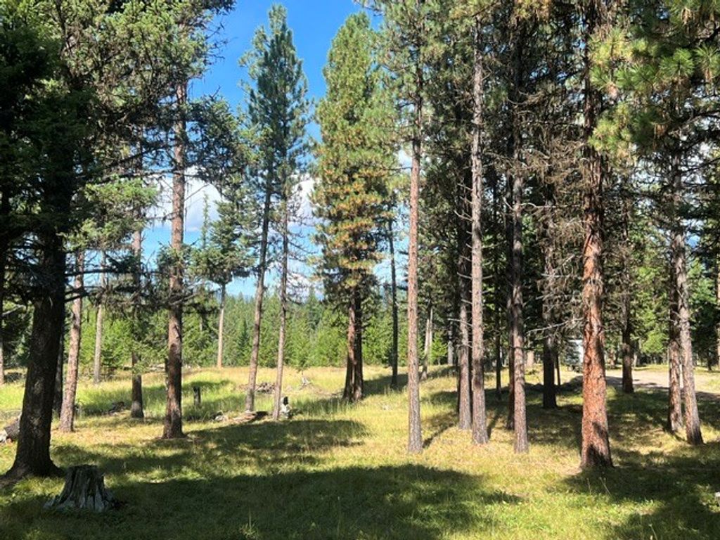 1787 Grandview Drive, Seeley Lake, MT 59868 photo 3