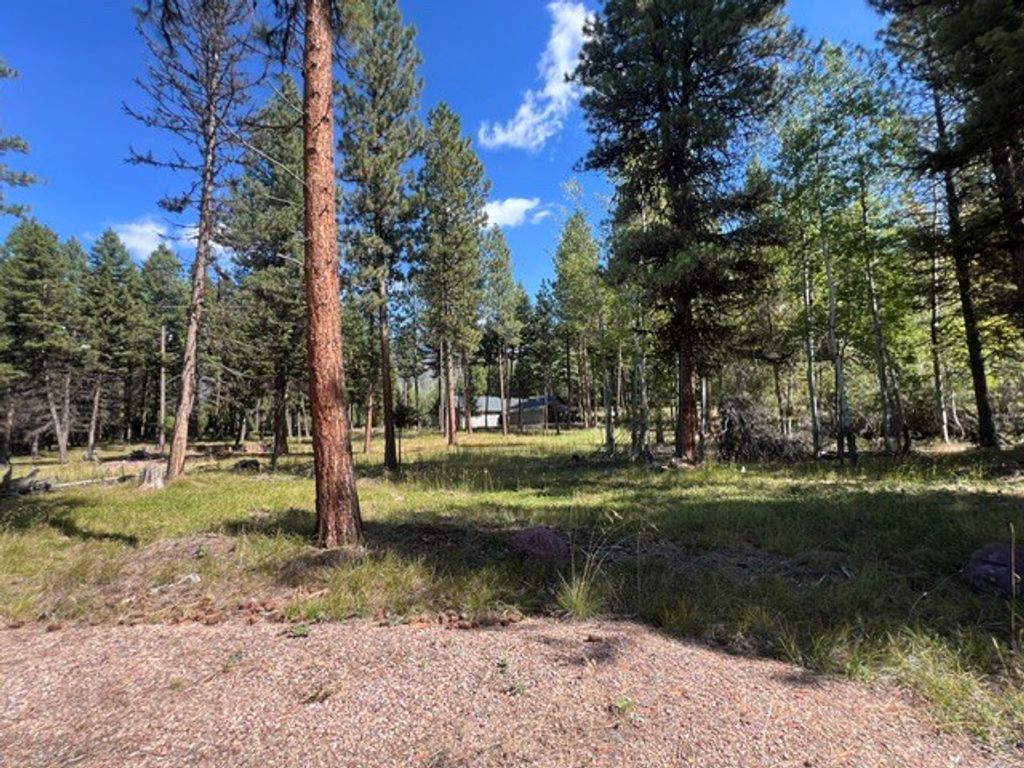 1787 Grandview Drive, Seeley Lake, MT 59868 photo 4