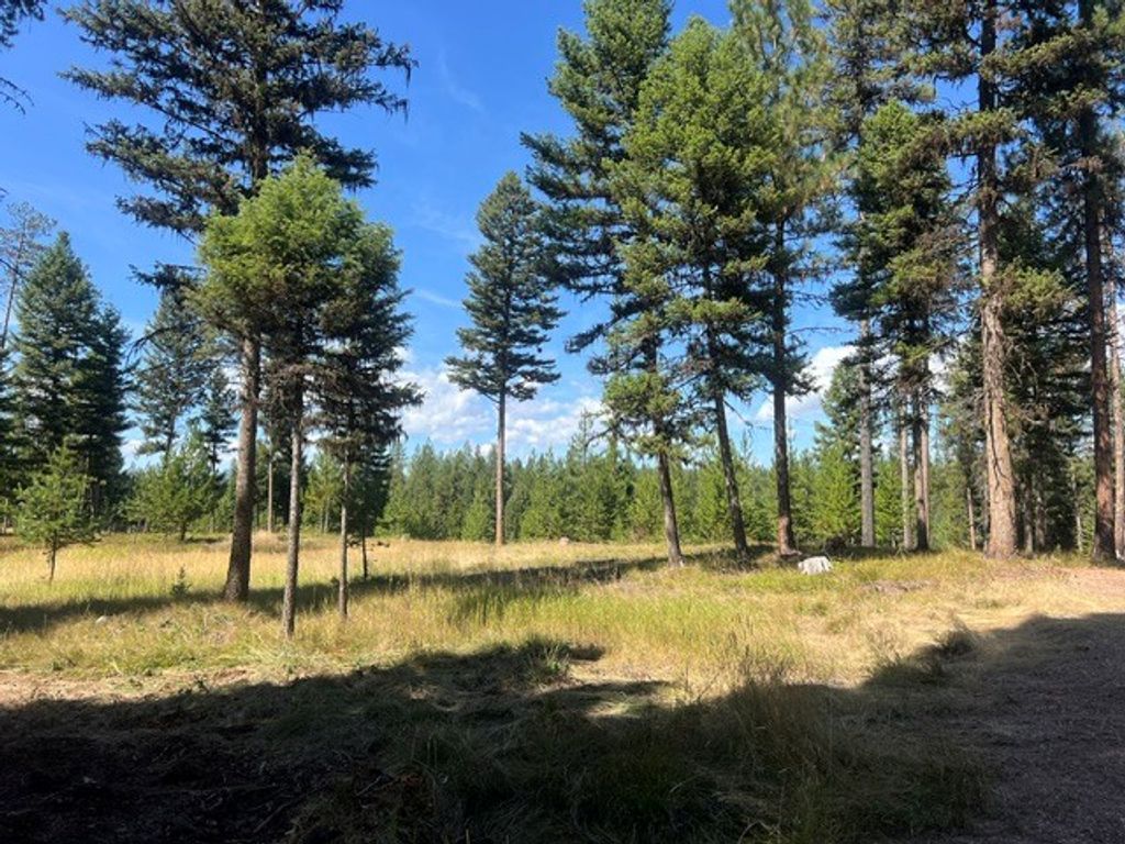 1787 Grandview Drive, Seeley Lake, MT 59868 photo 5