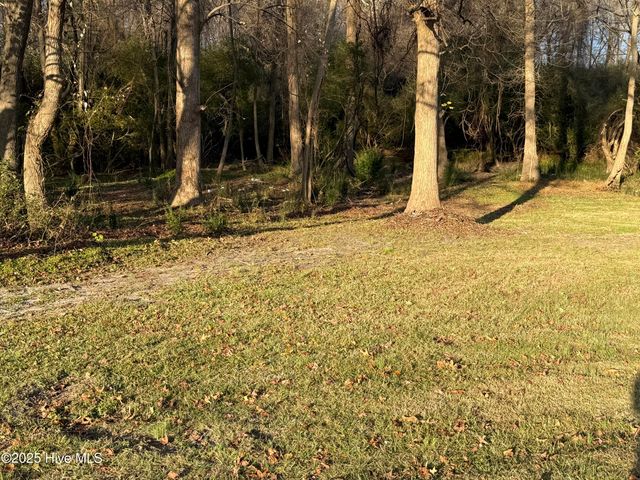 109 Tarheel Drive, Mount Olive, NC 28365