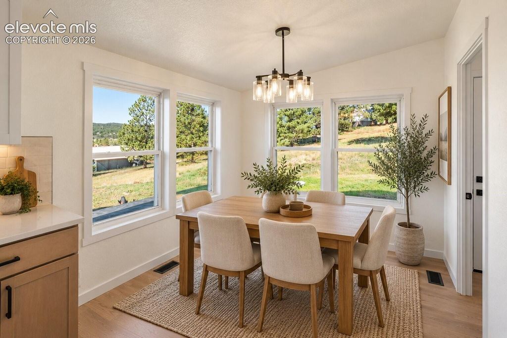 131 Dillon Lane, Florissant, CO 80816 — photo 4