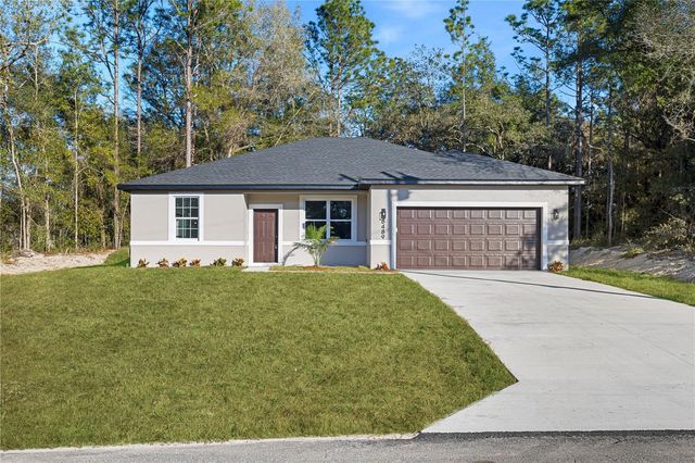 10004 N DELTONA BOULEVARD, Citrus Springs, FL 34434