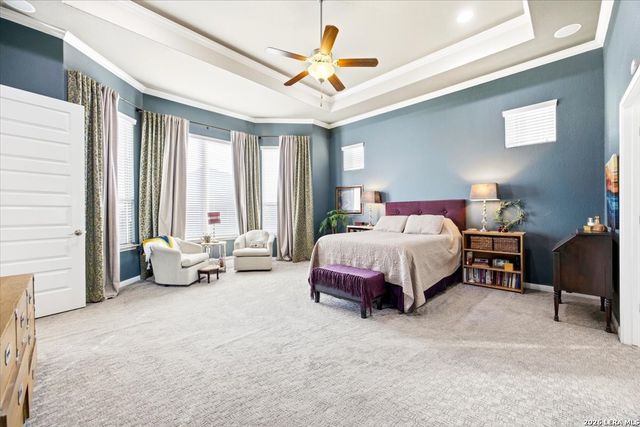 13902 Steadtree Pass, San Antonio, TX 78253