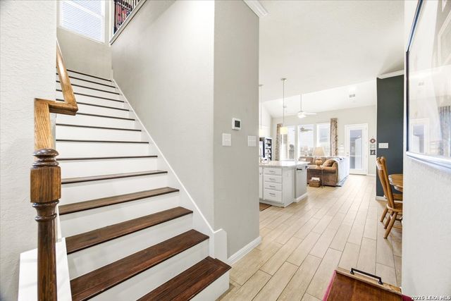 13902 Steadtree Pass, San Antonio, TX 78253