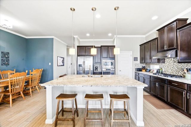 13902 Steadtree Pass, San Antonio, TX 78253