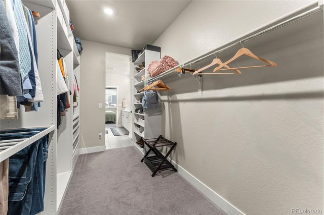 483 White Sand Trail, Castle Rock, CO 80104