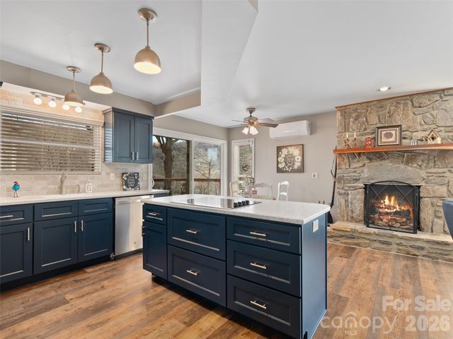 1672 Worley Cove Road, Canton, NC 28716