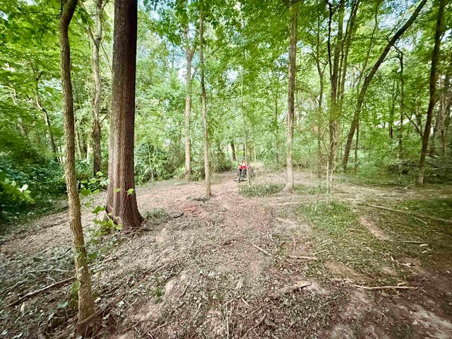 4506 HAMILTON ST, Other, TN 38220