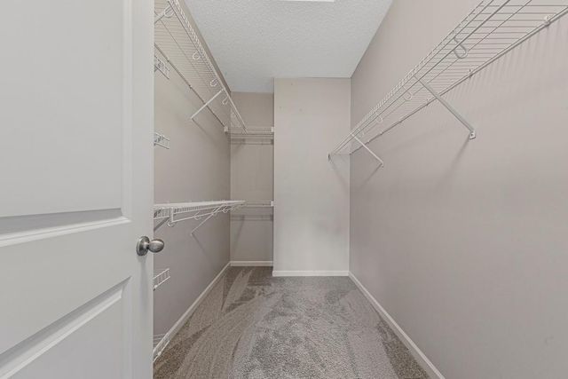 546 Cannon Way, Dundas, MN 55019