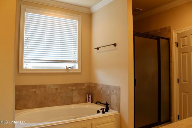 102 Wisteria Vine, Madison, MS 39110