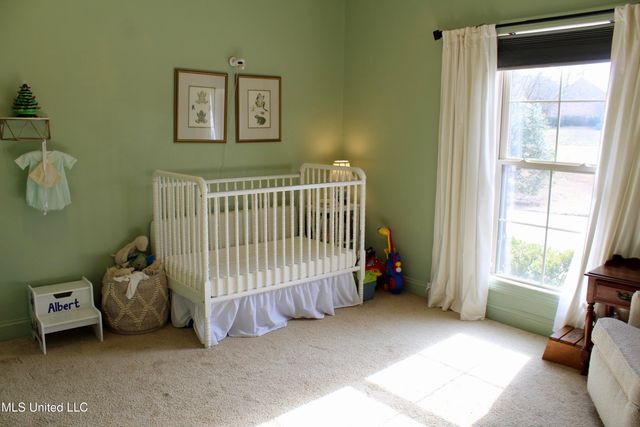 102 Wisteria Vine, Madison, MS 39110