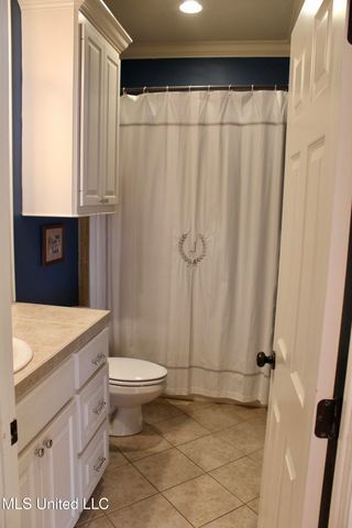 102 Wisteria Vine, Madison, MS 39110